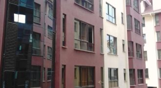 Lavington 2 Or 4 Br Plus Dsq Large Apartment Rent-90K-18