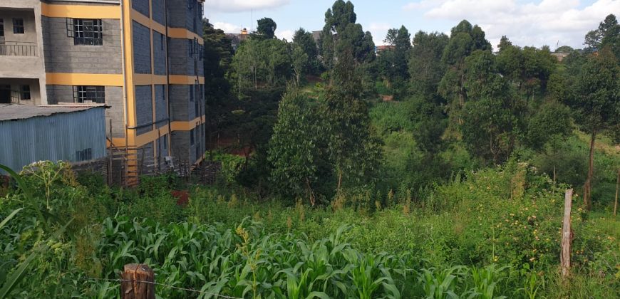 Wangige Riverside 50 X 100 Prime Plot For Sale-5M-296