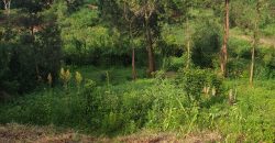 Wangige Riverside 50 X 100 Prime Plot For Sale-5M-296