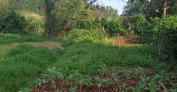 Wangige Riverside 50 X 100 Prime Plot For Sale-5M-296
