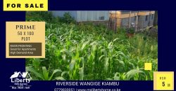 Wangige Riverside 50 X 100 Prime Plot For Sale-5M-296